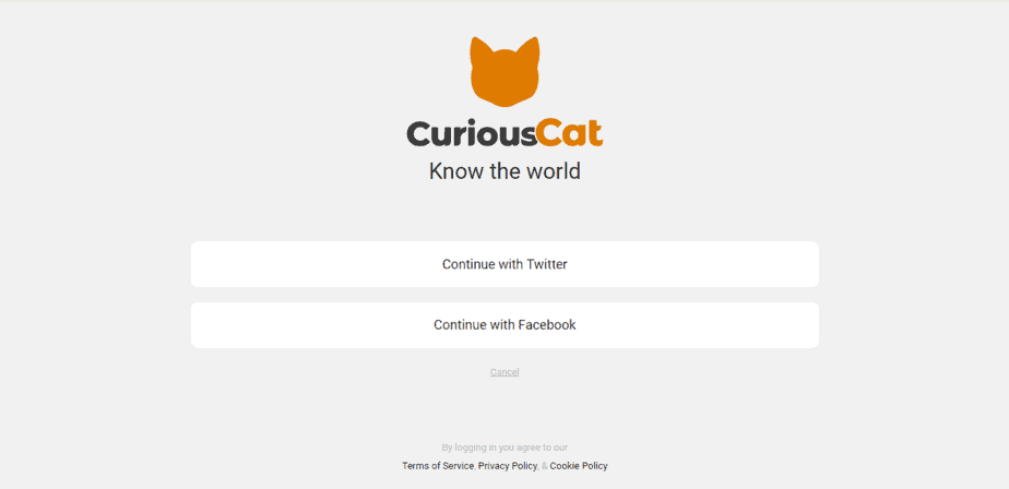 curious cat